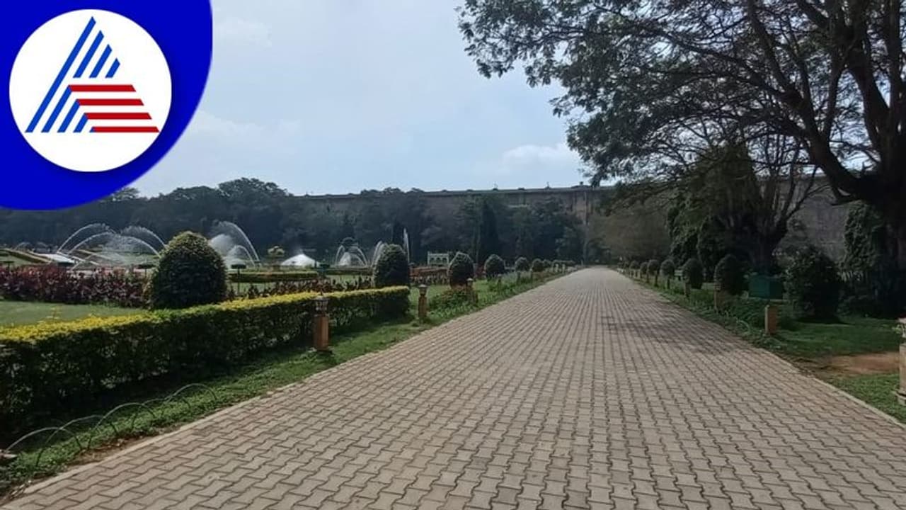 ಕೆಆರ್ಎಸ್ ಬೃಂದಾವನದಲ್ಲಿ ಚಿರತೆ ಪ್ರತ್ಯಕ್ಷ: ಪ್ರವಾಸಿಗರಿಗೆ ನಿರ್ಬಂಧ ಕೆಆರ್ಎಸ್ ಬೃಂದಾವನದಲ್ಲಿ ಚಿರತೆ ಪ್ರತ್ಯಕ್ಷ: ಪ್ರವಾಸಿಗರಿಗೆ ನಿರ್ಬಂಧ