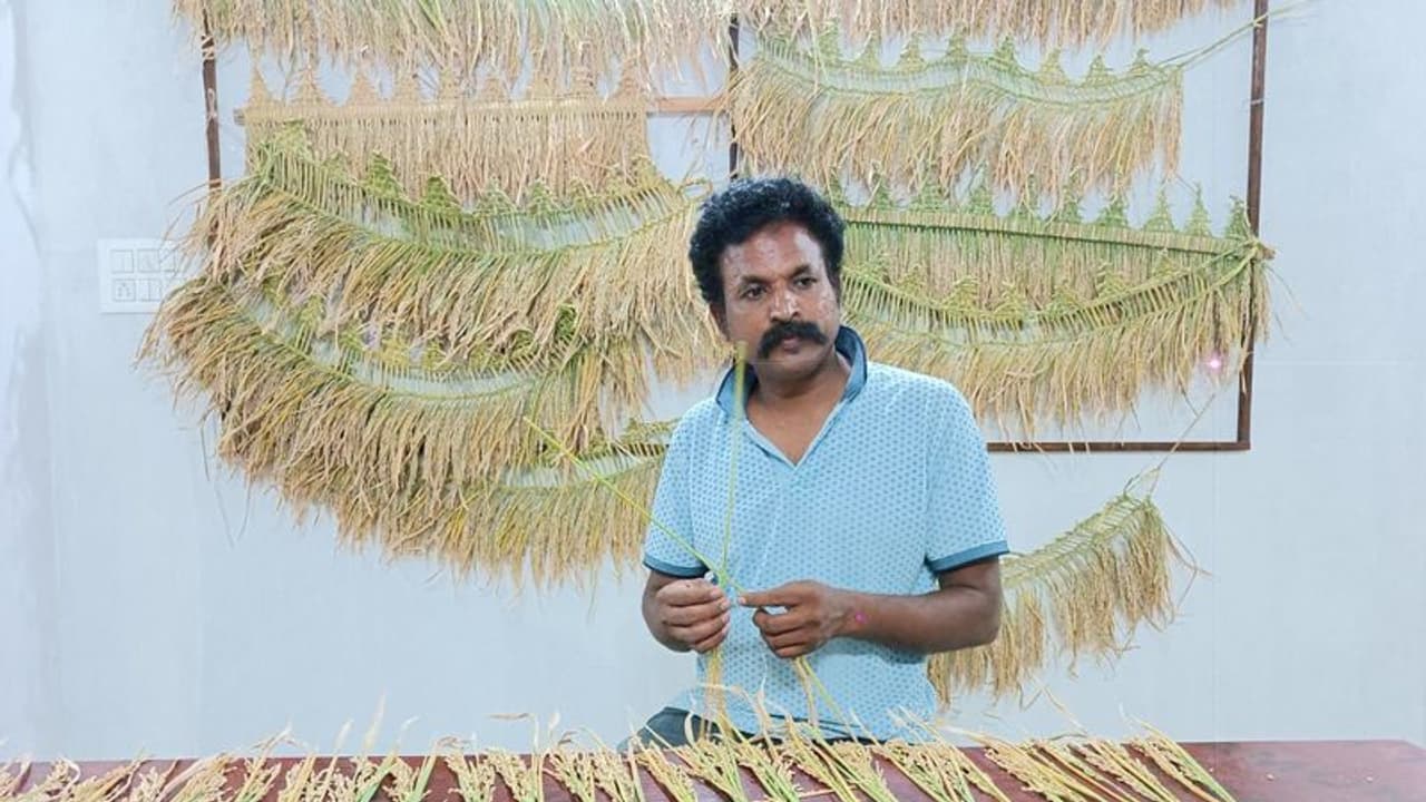 ದೀಪಾವಳಿ ಸಂಭ್ರಮಕ್ಕೆ ಬತ್ತದ ತೋರಣದ ಸೊಬಗು! ದೀಪಾವಳಿ ಸಂಭ್ರಮಕ್ಕೆ ಬತ್ತದ ತೋರಣದ ಸೊಬಗು!