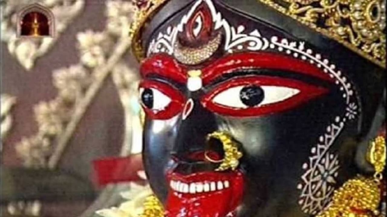 দাদা মায়ের দেখা পেল, আমি পেলাম না! এতই পাপী, এই আক্ষেপেই ৩৬ এ আত্মঘাতী পান্নালাল