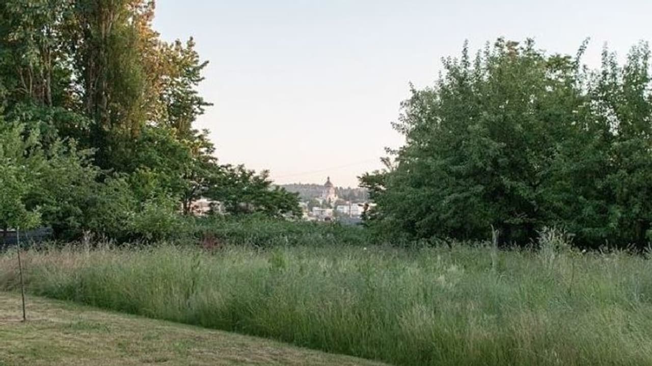 ഭര്ത്താവ് ജീവനോടെ കുഴിച്ചിട്ടു; അത്ഭുതകരമായി രക്ഷപ്പെട്ട് സ്ത്രീ ഭര്ത്താവ് ജീവനോടെ കുഴിച്ചിട്ടു; അത്ഭുതകരമായി രക്ഷപ്പെട്ട് സ്ത്രീ