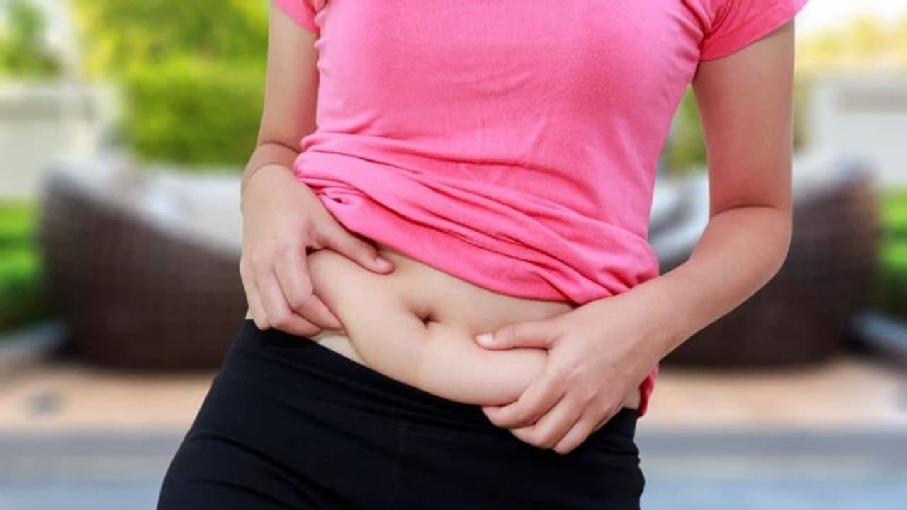 Belly Fat Loss: ശരീരത്തിലെ കൊഴുപ്പിനെ പുറംതള്ളാന്‍ സഹായിക്കുന്ന പ്രോട്ടീന്‍ അടങ്ങിയ പത്ത് ഭക്ഷണങ്ങള്‍... 