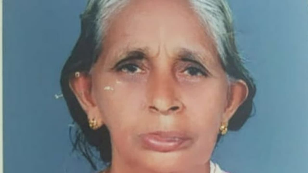 പശുവിനെ കെട്ടാൻ പോയ വയോധികയ്ക്ക് കടന്നൽ കുത്തേറ്റു, ചികിത്സയിലിരിക്കെ മരിച്ചു