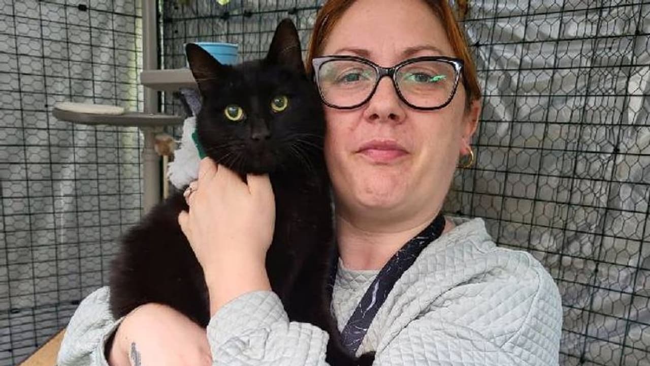 ആറ് വർഷം മുമ്പ് കാണാതായ പൂച്ച അപ്രതീക്ഷിതമായി കൺമുന്നിൽ, ആഹ്ളാദത്തിലും അമ്പരപ്പിലും കുടുംബം ആറ് വർഷം മുമ്പ് കാണാതായ പൂച്ച അപ്രതീക്ഷിതമായി കൺമുന്നിൽ, ആഹ്ളാദത്തിലും അമ്പരപ്പിലും കുടുംബം