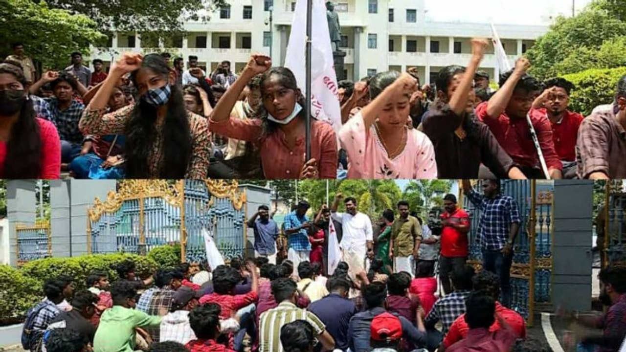 ഗവർണറുടെ തൊഴുത്തിൽ കെട്ടിയ പശുക്കളല്ല കേരളത്തിലെ സർവകലാശാലകൾ: എസ്എഫ്ഐ ഗവർണറുടെ തൊഴുത്തിൽ കെട്ടിയ പശുക്കളല്ല കേരളത്തിലെ സർവകലാശാലകൾ: എസ്എഫ്ഐ