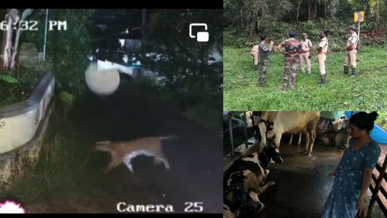 വയനാട്ടിലെ കടുവാപ്രശ്‍നം, സര്‍വ്വകക്ഷി സംഘം ഇന്ന് മുഖ്യമന്ത്രിയുമായി ചര്‍ച്ച നടത്തും