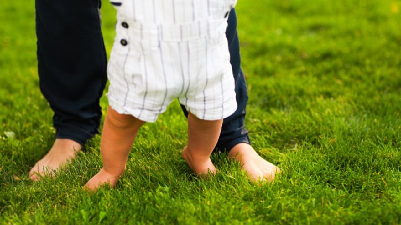 সবুজ ঘাসে প্রতিদিন ২০ মিনিট খালি পায়ে হাঁটার অভ্যাস, মিলবে বহু আশ্চর্যজনক উপকারিতা সবুজ ঘাসে প্রতিদিন ২০ মিনিট খালি পায়ে হাঁটার অভ্যাস, মিলবে বহু আশ্চর্যজনক উপকারিতা