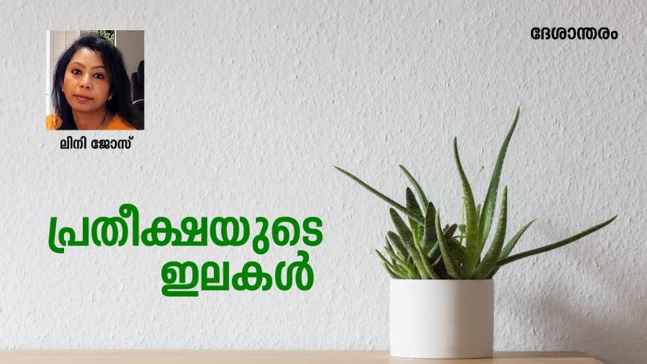 ഗുരുതരാവസ്ഥയില് കിടക്കുന്ന മകള്ക്കായി കുഞ്ഞുചെടിയുമായി ആശുപത്രിയിലേക്ക് വന്ന ഒരച്ഛന്! ഗുരുതരാവസ്ഥയില് കിടക്കുന്ന മകള്ക്കായി കുഞ്ഞുചെടിയുമായി ആശുപത്രിയിലേക്ക് വന്ന ഒരച്ഛന്!