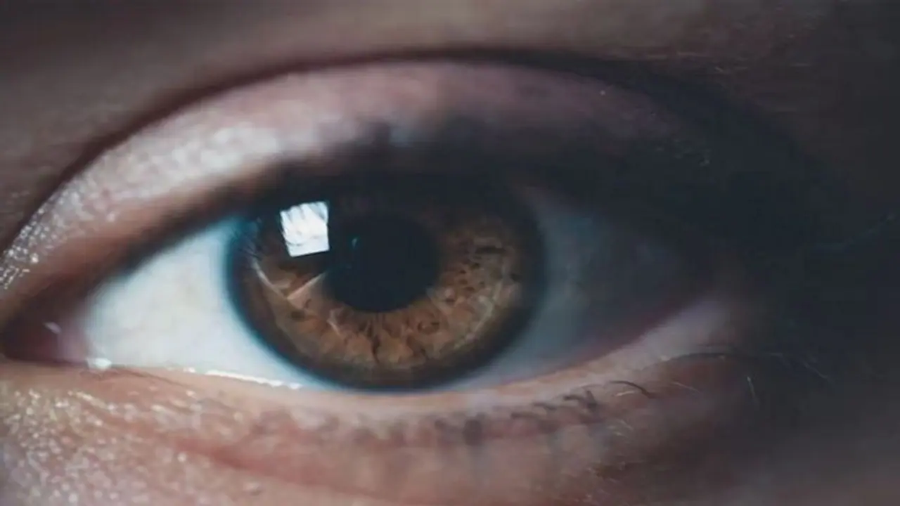 डिजिटल युग में आंखों के सामने कहीं छा ना जाए 'अंधेरा', डाइट में शामिल करें ये 5 सुपर फूड्स