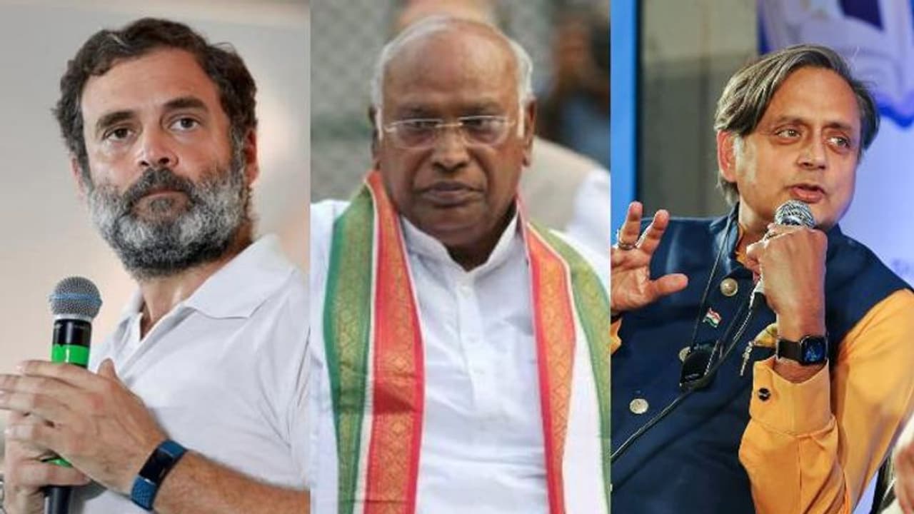 കോൺഗ്രസ് പ്രവർത്തക സമിതിയിലേക്കും തെരഞ്ഞെടുപ്പ്? ഖർഗെയെ നിലപാടറിയിച്ച് രാഹുൽ