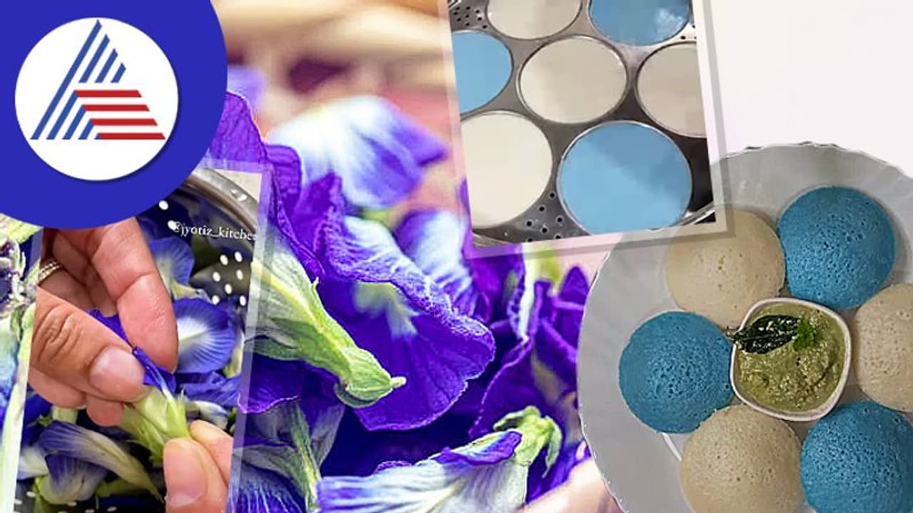 ಒಂದು ಬಾರಿನಾದ್ರೂ ತಿಂದು ನೋಡಿ..ವೈರಲ್ ಆಗ್ತಿದೆ ಬ್ಲೂ ಇಡ್ಲಿ