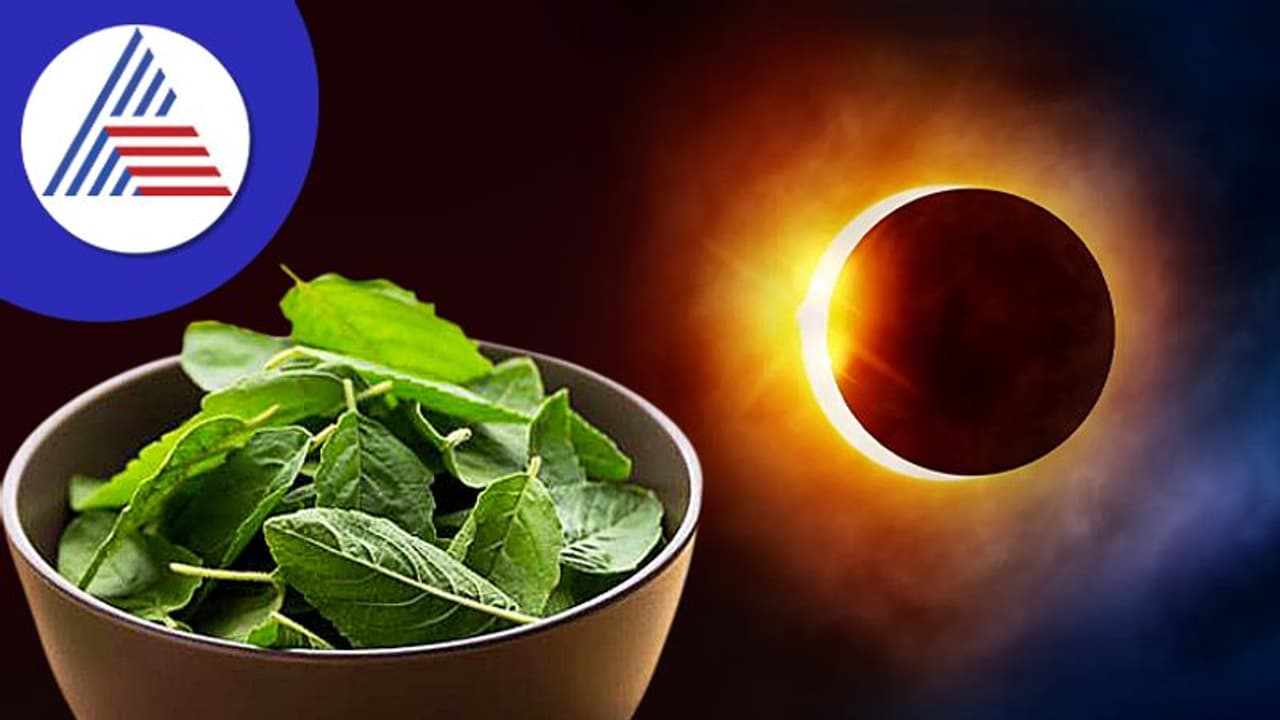 Solar eclipse 2022 ಇಂದು ಆಹಾರದಲ್ಲಿ ತುಳಸಿ ಹಾಕಿಡುವುದೇಕೆ? Solar eclipse 2022 ಇಂದು ಆಹಾರದಲ್ಲಿ ತುಳಸಿ ಹಾಕಿಡುವುದೇಕೆ?