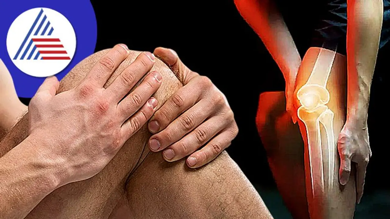 Bone Health: ಮೂಳೆಗಳ ವೀಕ್ ನೆಸ್ಸಾ? ಕೆಲವು ಲಕ್ಷಣಗಳಿಂದ ತಿಳ್ಕೊಳಿ