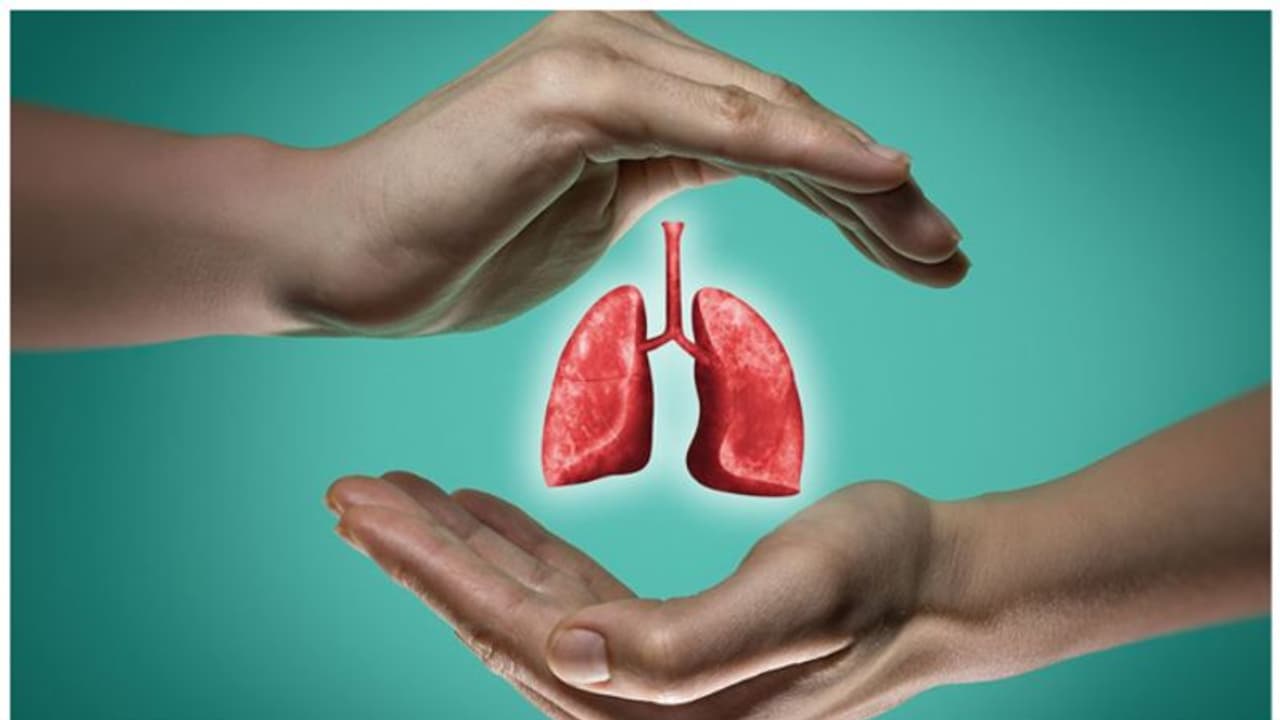 Lungs Health : ശ്വാസകോശാരോഗ്യത്തിന് ഏറ്റവും മികച്ചത് ഈ പഴം Lungs Health : ശ്വാസകോശാരോഗ്യത്തിന് ഏറ്റവും മികച്ചത് ഈ പഴം