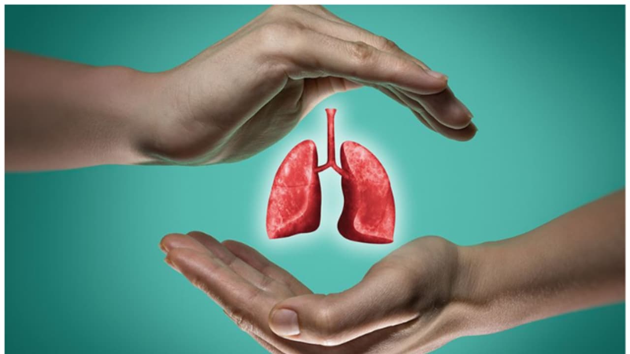 lungs health lungs health