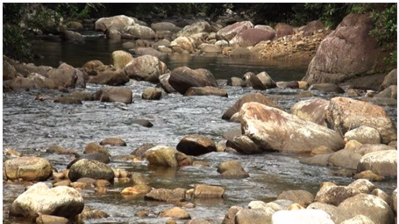 Mysuru : ಕೊಳೆತು ನಾರುತ್ತಿದೆ ಲಕ್ಷ್ಮಣತೀರ್ಥ ನದಿ Mysuru : ಕೊಳೆತು ನಾರುತ್ತಿದೆ ಲಕ್ಷ್ಮಣತೀರ್ಥ ನದಿ