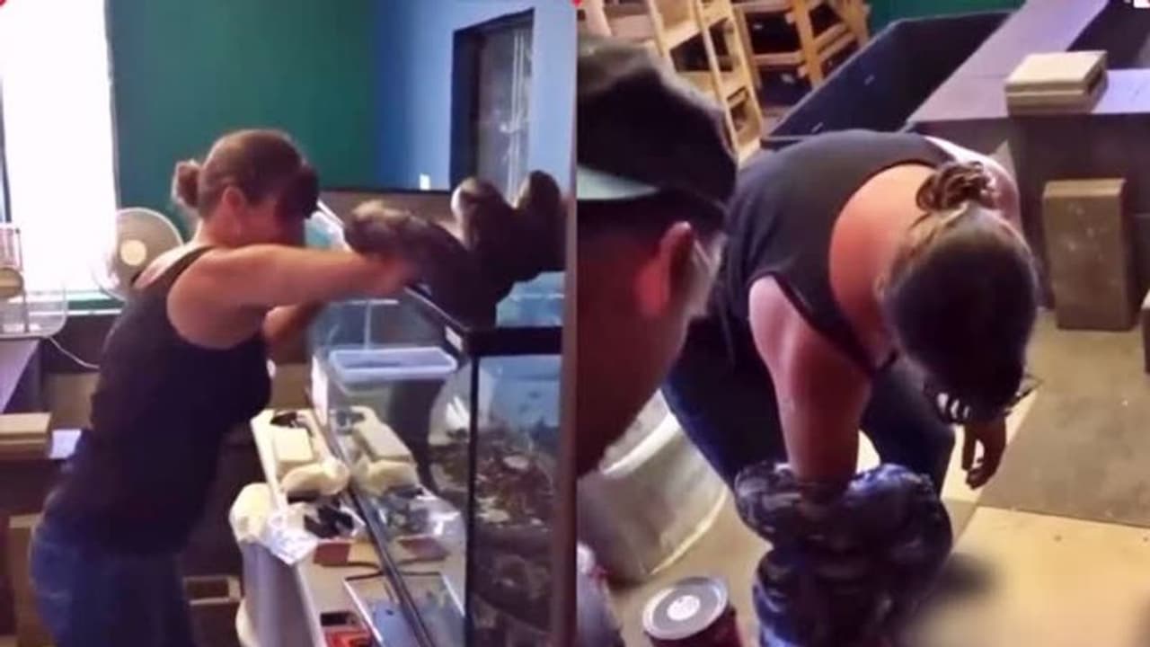 Viral Video : പാമ്പിനെ കൂട്ടിൽ നിന്നും പുറത്തെടുക്കാൻ ശ്രമിക്കവേ ഉടമയ്ക്ക് സംഭവിച്ചത്; വെെറൽ വീഡിയോ Viral Video : പാമ്പിനെ കൂട്ടിൽ നിന്നും പുറത്തെടുക്കാൻ ശ്രമിക്കവേ ഉടമയ്ക്ക് സംഭവിച്ചത്; വെെറൽ വീഡിയോ