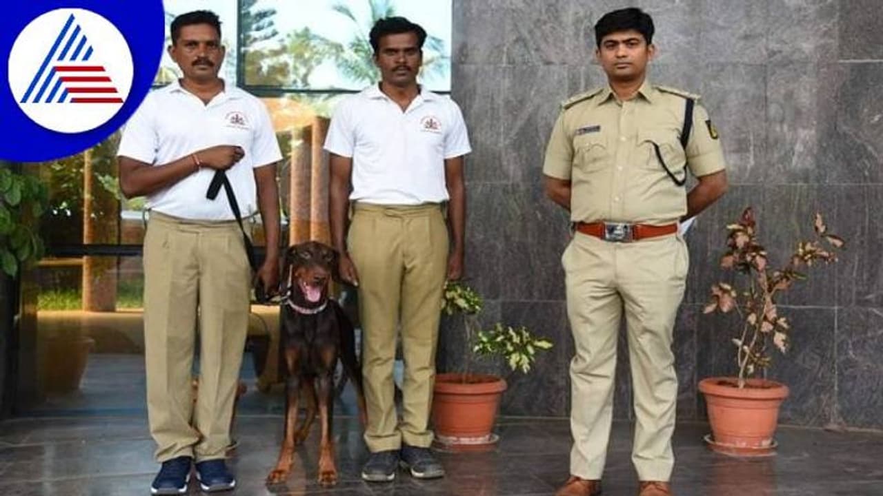 ಗದಗ: ಕಲ್ಲು ಎತ್ತಿಹಾಕಿ ವ್ಯಕ್ತಿ ಕೊಲೆ ಕೇಸ್, ಆರೋಪಿಗಳ ಸುಳಿವು ನೀಡಿದ ಪೊಲೀಸ್ ರ್ಯಾಂಬೊ..! ಗದಗ: ಕಲ್ಲು ಎತ್ತಿಹಾಕಿ ವ್ಯಕ್ತಿ ಕೊಲೆ ಕೇಸ್, ಆರೋಪಿಗಳ ಸುಳಿವು ನೀಡಿದ ಪೊಲೀಸ್ ರ್ಯಾಂಬೊ..!