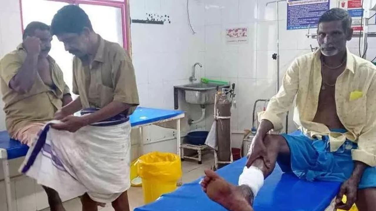 തെരുവുനായയുടെ ആക്രമണം; ഓട്ടോ ഡ്രൈവർമാരടക്കം മൂന്ന് പേർക്ക് പരിക്ക്