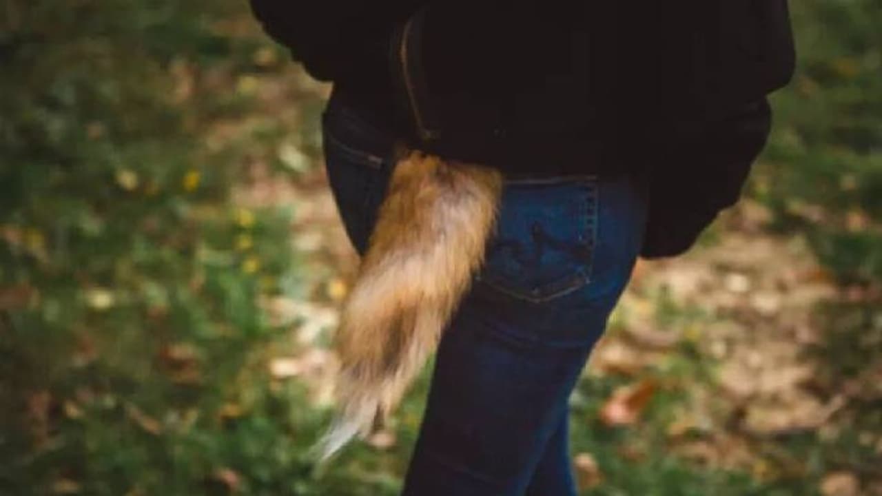 മനുഷ്യർക്ക് വാൽ ഉണ്ടായിരുന്നെങ്കിൽ എന്തായിരുന്നേനെ ഉപയോഗം?