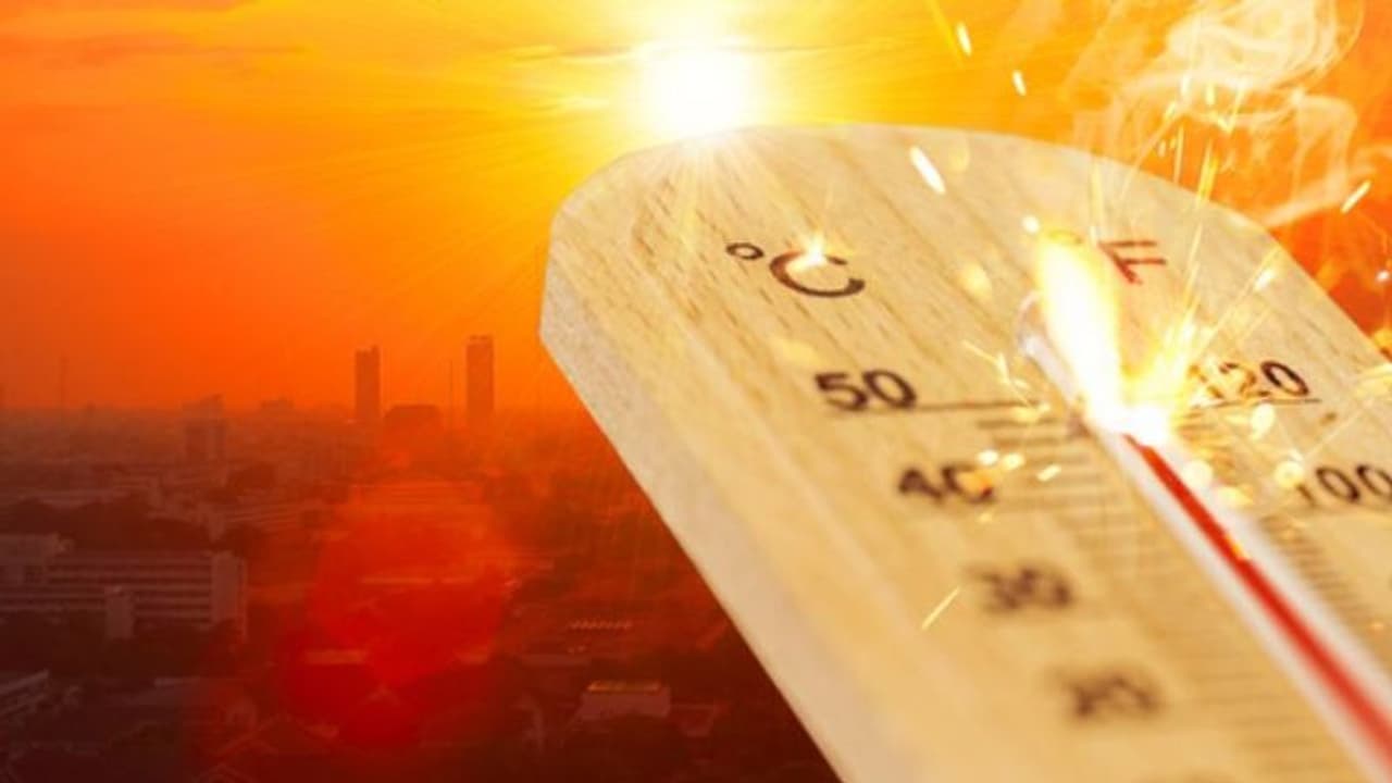 സംസ്ഥാനത്ത് കടുത്ത ചൂട് തുടരും; അഞ്ച് ജില്ലകളിൽ ഉയർന്ന താപനില മുന്നറിയിപ്പ് സംസ്ഥാനത്ത് കടുത്ത ചൂട് തുടരും; അഞ്ച് ജില്ലകളിൽ ഉയർന്ന താപനില മുന്നറിയിപ്പ്