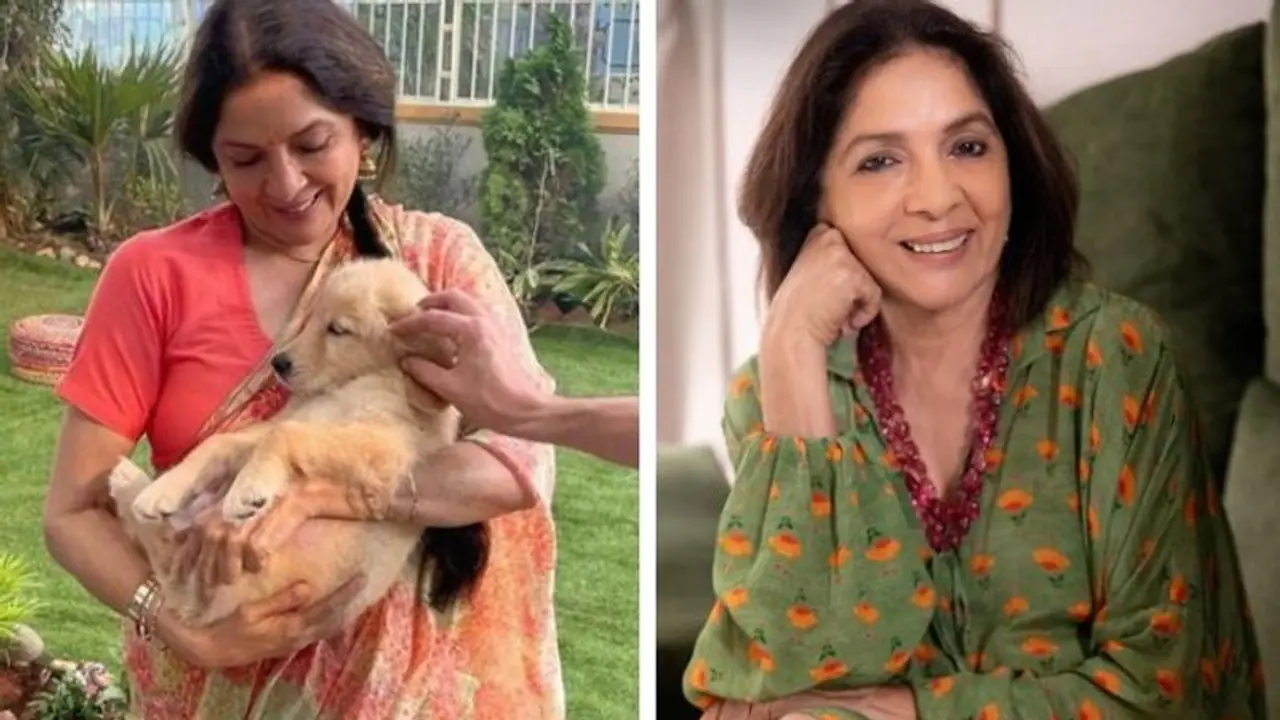 അറുപത്തിമൂന്നിലും തിളങ്ങി നീന ഗുപ്ത; ആരോഗ്യത്തിന്റെയും സൗന്ദര്യത്തിന്റെയും രഹസ്യം... അറുപത്തിമൂന്നിലും തിളങ്ങി നീന ഗുപ്ത; ആരോഗ്യത്തിന്റെയും സൗന്ദര്യത്തിന്റെയും രഹസ്യം...