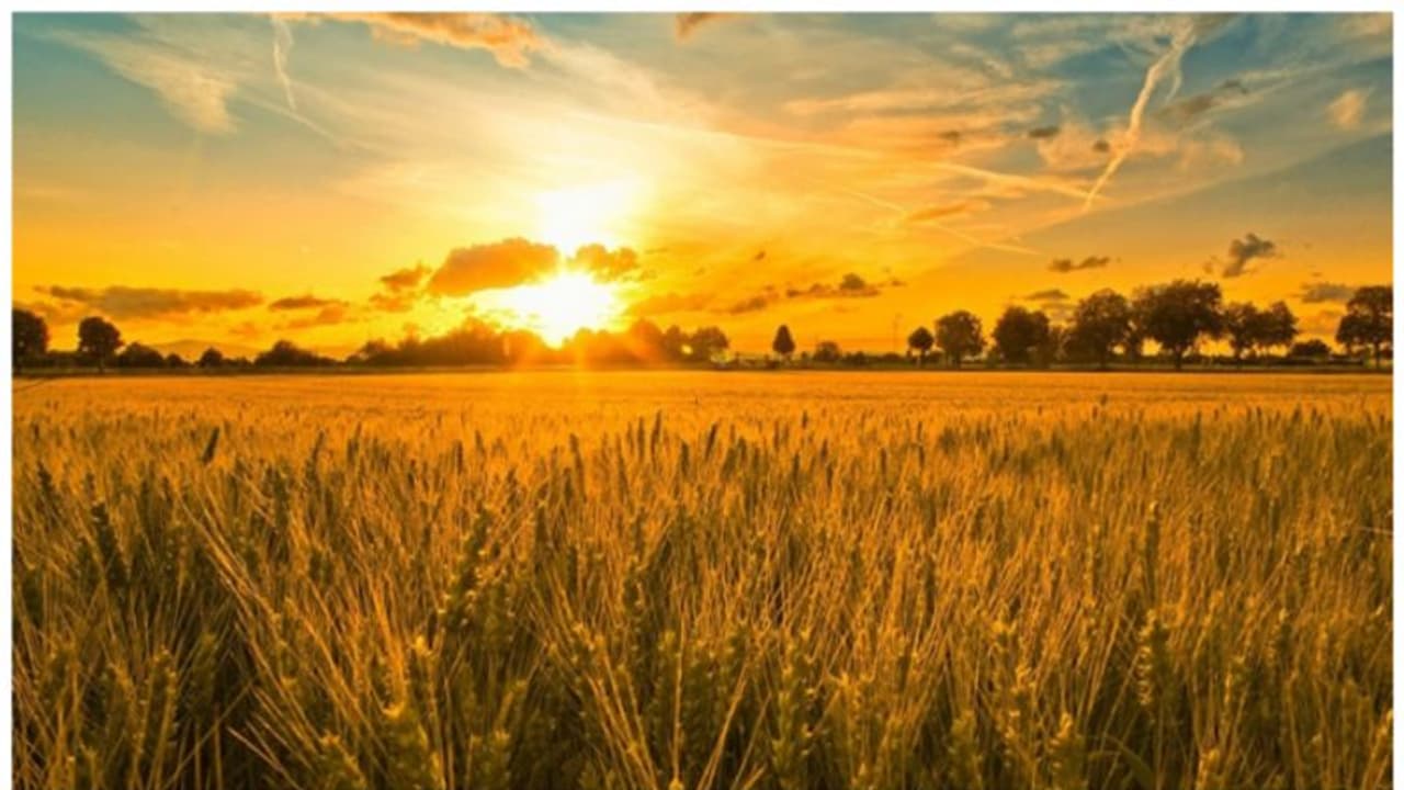 Pathamudayam : ഇന്ന് തുലാം പത്ത് ; പത്തരമാറ്റോടെ പത്താമുദയം Pathamudayam : ഇന്ന് തുലാം പത്ത് ; പത്തരമാറ്റോടെ പത്താമുദയം