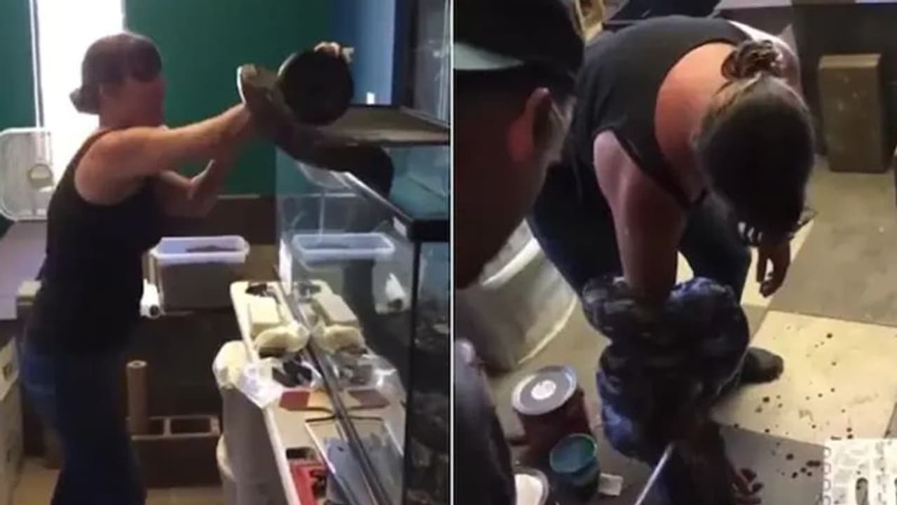 Snake Attack: 'बेबी' ने महिला को किया लहूलुहान, अब तक 8.6 मिलियन लोग देख चुके हैं यह VIDEO Snake Attack: 'बेबी' ने महिला को किया लहूलुहान, अब तक 8.6 मिलियन लोग देख चुके हैं यह VIDEO