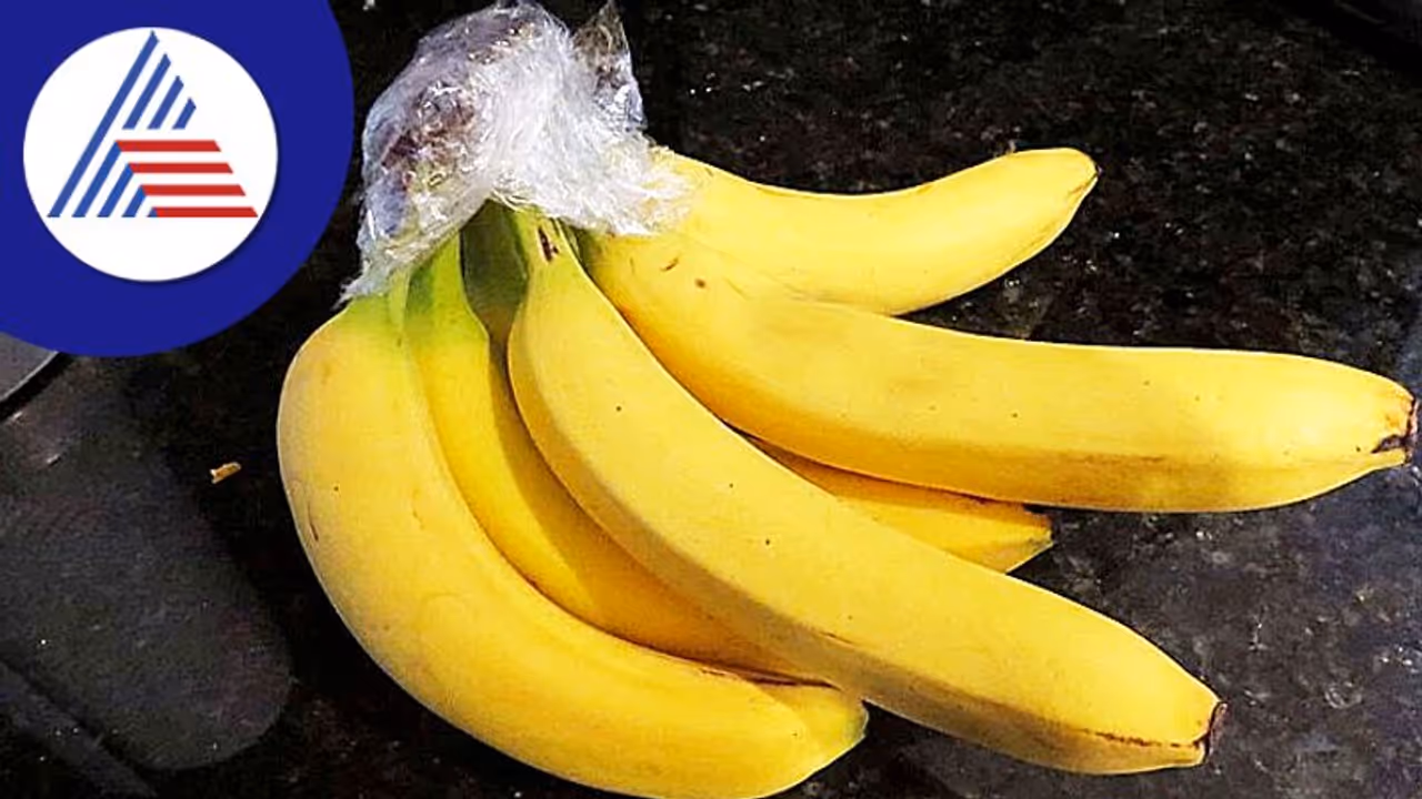 ಎಲ್ಲರೂ ಹೆಚ್ಚಿಗೆ ತಿನ್ನೋ ಹಣ್ಣು, ಬೇಗ ಹಾಳಾಗಬಾರದು ಅಂದ್ರೆ ಹೀಗ್ ಮಾಡಿ ಎಲ್ಲರೂ ಹೆಚ್ಚಿಗೆ ತಿನ್ನೋ ಹಣ್ಣು, ಬೇಗ ಹಾಳಾಗಬಾರದು ಅಂದ್ರೆ ಹೀಗ್ ಮಾಡಿ