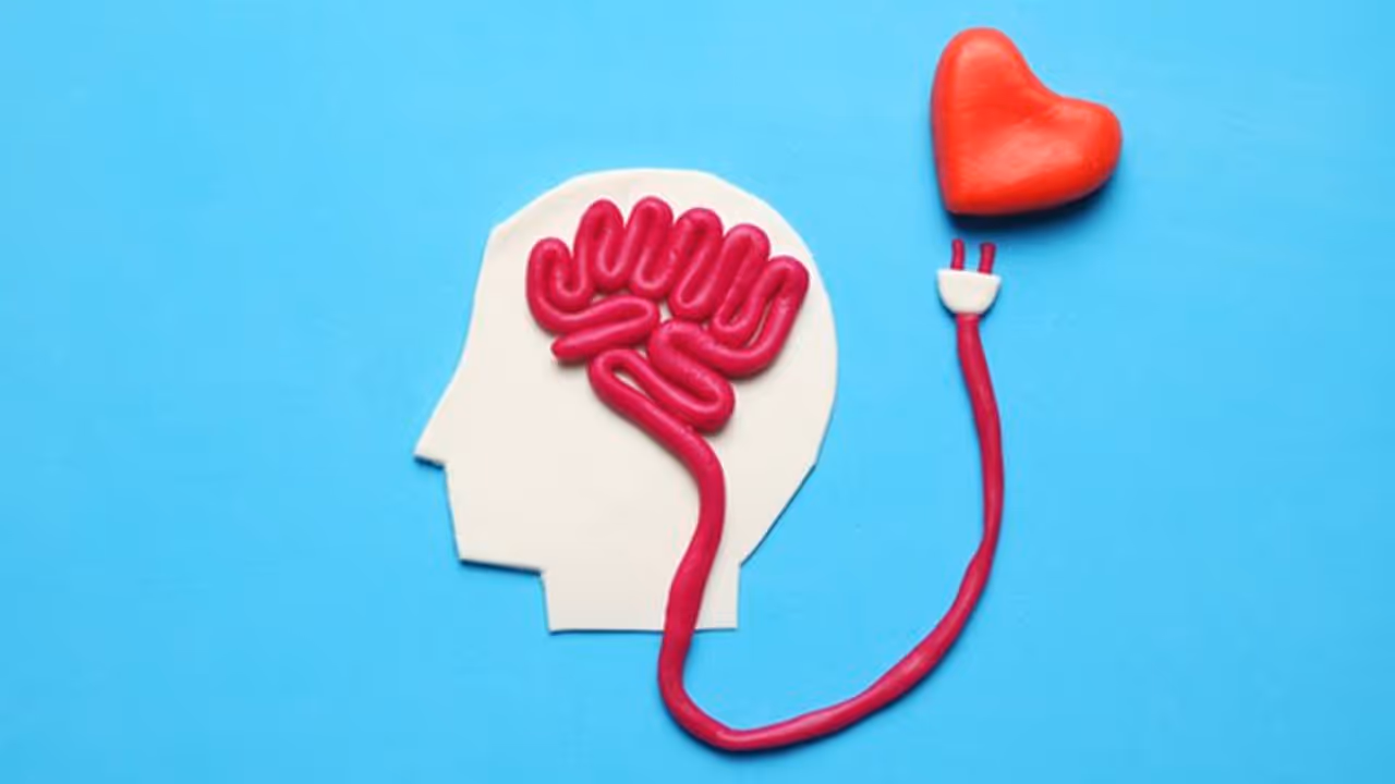 World Stroke Day : പക്ഷാഘാത സാധ്യത കുറയ്ക്കാൻ ഭക്ഷണത്തിൽ ശ്രദ്ധിക്കേണ്ട ചില കാര്യങ്ങളിതാ...