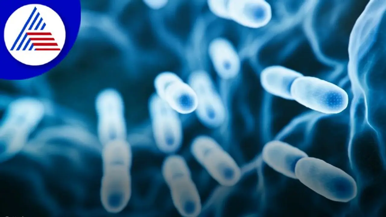 ಡೇಂಜರಸ್‌ ಶಿಲೀಂಧ್ರಗಳ ಮೊದಲ ಪಟ್ಟಿ ಬಿಡುಗಡೆ ಮಾಡಿದ WHO 