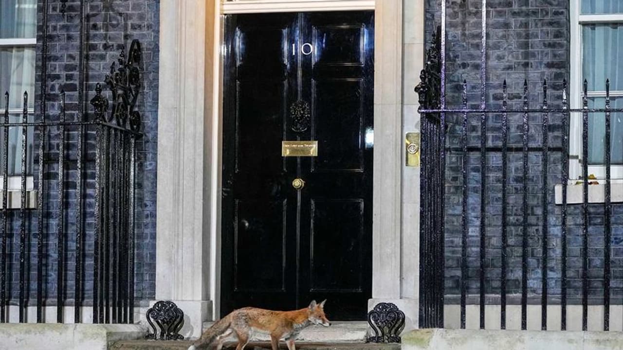 10 Downing Street London: மிஸ்டர் ரிஷி சுனக், 10 டவுனிங் தெரு, லண்டன் : அறிந்திறாத தகவல்கள், சிறப்புகள் என்ன? 10 Downing Street London: மிஸ்டர் ரிஷி சுனக், 10 டவுனிங் தெரு, லண்டன் : அறிந்திறாத தகவல்கள், சிறப்புகள் என்ன?