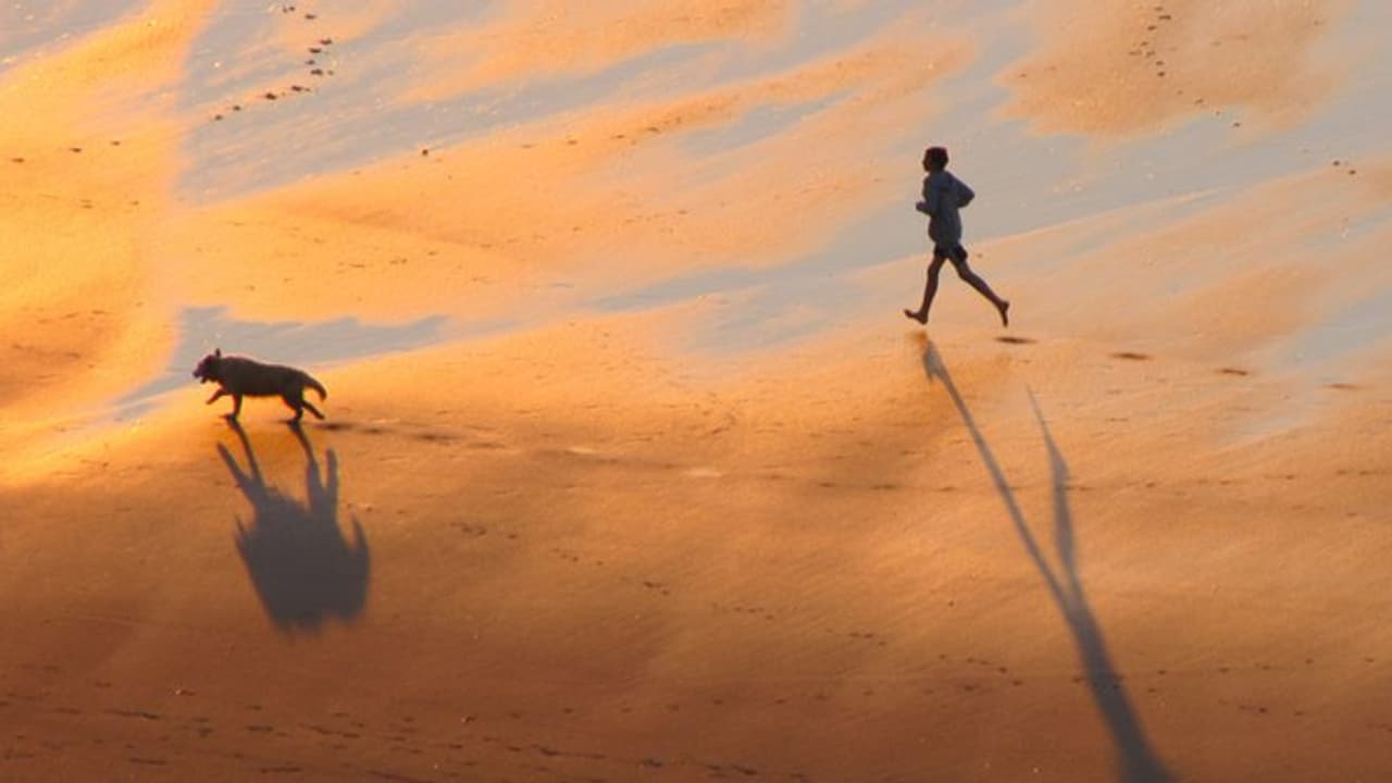 പെണ്വേഷമിട്ട് നായയുമായി സെക്സ് നടത്താന് ശ്രമം; 30 കാരന് പിടിയില് പെണ്വേഷമിട്ട് നായയുമായി സെക്സ് നടത്താന് ശ്രമം; 30 കാരന് പിടിയില്