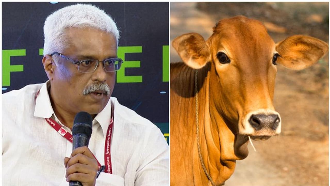 'കന്നുകാലി വളർത്തലിൽ ഇന്റര്നെറ്റ് സേവനങ്ങൾക്ക് അനന്ത സാധ്യത'; വമ്പന് ഐഡിയകള് മുന്നോട്ട് വച്ച് ശിവശങ്കര് 'കന്നുകാലി വളർത്തലിൽ ഇന്റര്നെറ്റ് സേവനങ്ങൾക്ക് അനന്ത സാധ്യത'; വമ്പന് ഐഡിയകള് മുന്നോട്ട് വച്ച് ശിവശങ്കര്