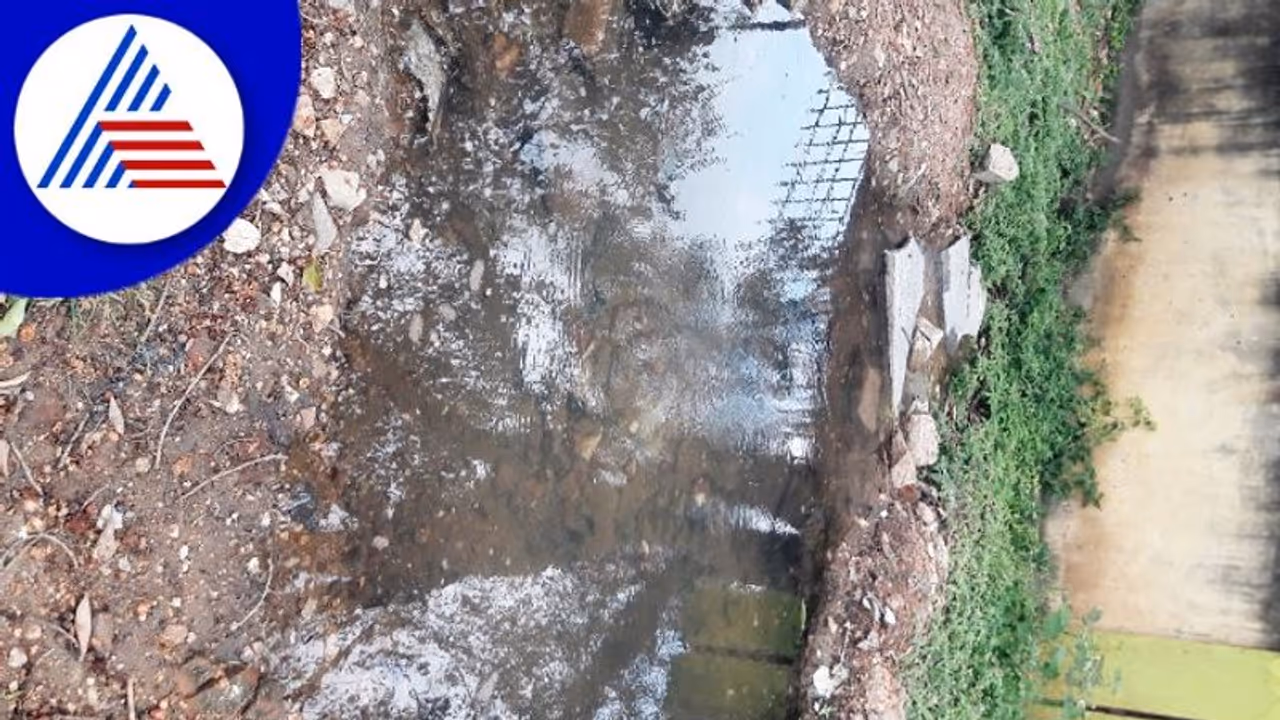 ಚರಂಡಿ ಸೇರುತ್ತಿರುವ ಭದ್ರಾ ನದಿಯ ಅಪಾರ ನೀರು; ಜನಪ್ರತಿಧಿಗಳ ನಿರ್ಲಕ್ಷ್ಯ ಚರಂಡಿ ಸೇರುತ್ತಿರುವ ಭದ್ರಾ ನದಿಯ ಅಪಾರ ನೀರು; ಜನಪ್ರತಿಧಿಗಳ ನಿರ್ಲಕ್ಷ್ಯ