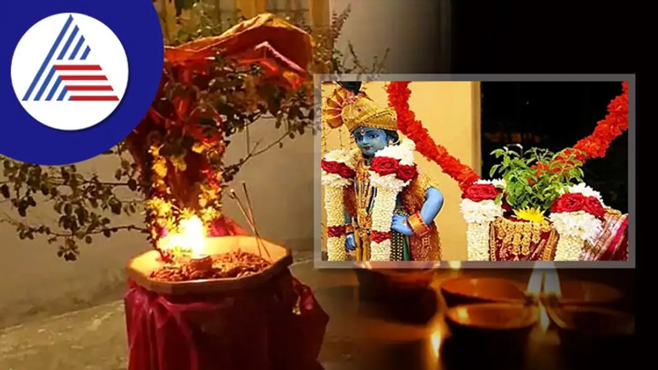 ವಿಷ್ಣು ತುಳಸಿಯನ್ನು ಮದುವೆಯಾಗಿದ್ದೇಕೆ? ತುಳಸಿ ವಿವಾಹದ ಕತೆ ಇಲ್ಲಿದೆ.. ವಿಷ್ಣು ತುಳಸಿಯನ್ನು ಮದುವೆಯಾಗಿದ್ದೇಕೆ? ತುಳಸಿ ವಿವಾಹದ ಕತೆ ಇಲ್ಲಿದೆ..