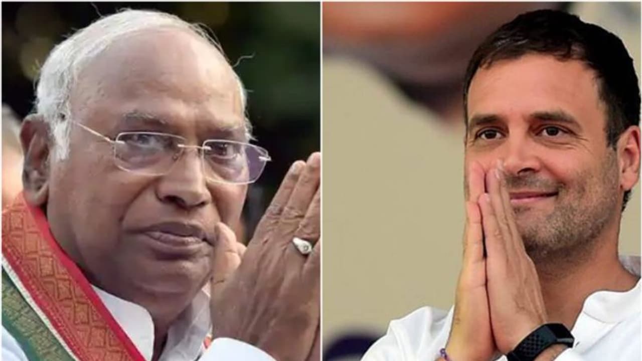 സംഘടന വിഷയങ്ങള്‍ പുതിയ അദ്ധ്യക്ഷന്‍ ഖര്‍ഗെക്ക് വിട്ട് രാഹുല്‍, സ്ഥാനാര്‍ത്ഥി നിര്‍ണ്ണയ ചര്‍ച്ചകള്‍ക്കുമില്ല