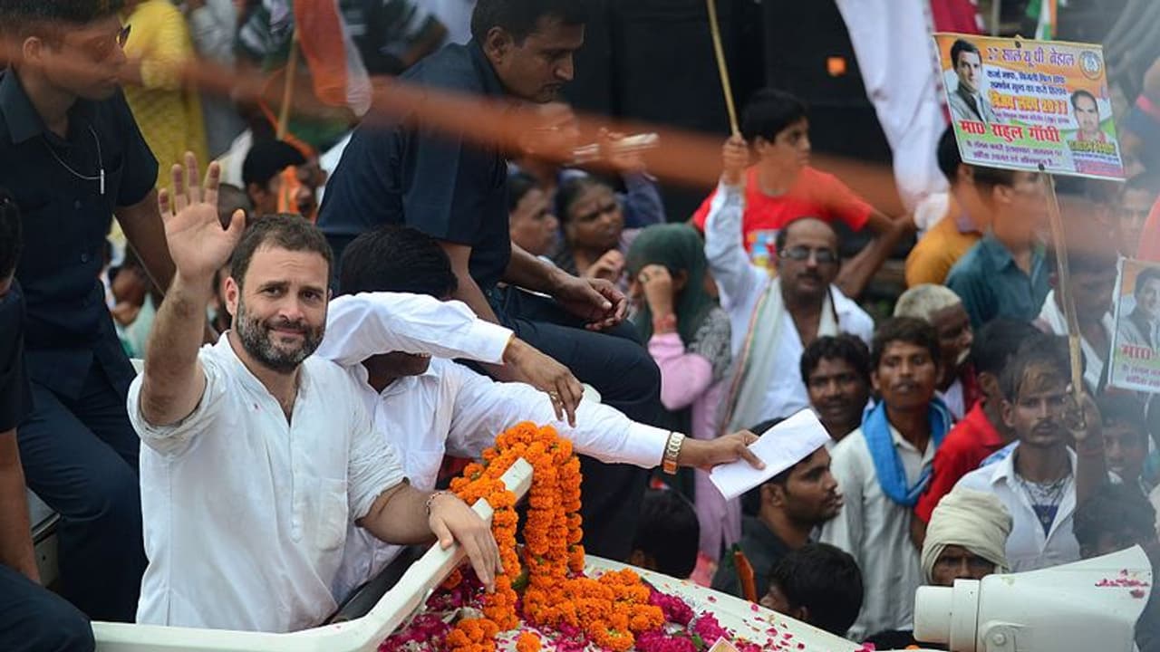 ഭാരത് ജോഡോ യാത്രയ്ക്കിടെ നായയെ കളിപ്പിക്കുന്ന രാഹുല്‍, വൈറലായി വീഡിയോ 