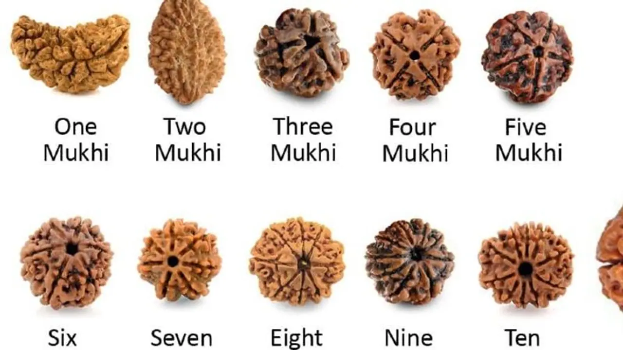 ருத்ராட்சம் எத்தனை முகங்கள் உண்டு.. முதல் நான்கு வகைகள் பற்றி அறிவோம்! ருத்ராட்சம் எத்தனை முகங்கள் உண்டு.. முதல் நான்கு வகைகள் பற்றி அறிவோம்!