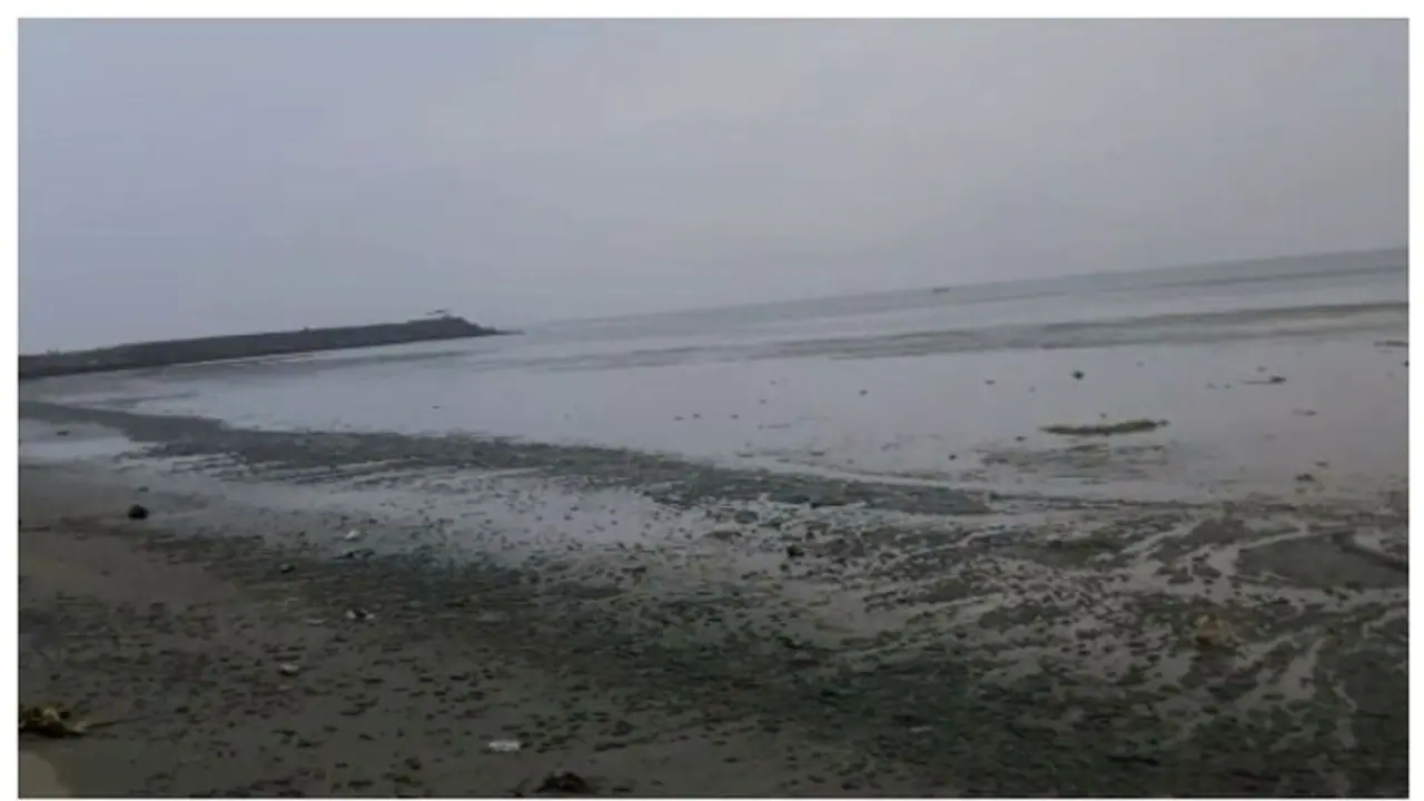 കോഴിക്കോട് കോതി ബീച്ചിന് സമീപം കടല്‍ 100 മീറ്റര്‍ ഉള്‍വലിഞ്ഞു, ഭയക്കാനില്ലെന്ന് അധികൃതര്‍