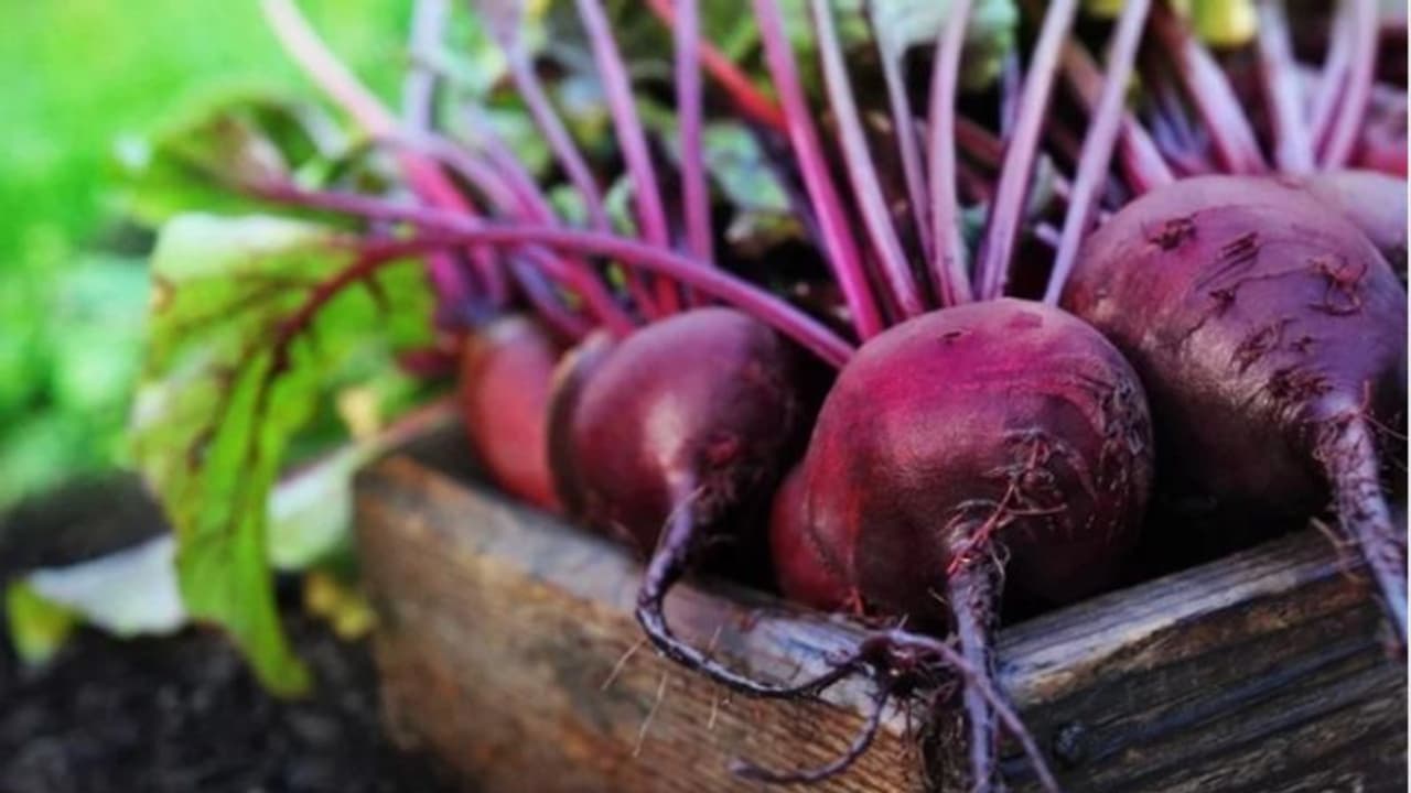 பீட்ரூட்டை இப்படி சாப்பிட்டீங்கன்னா கை மேல் பலன் கிடைக்கும்..!!