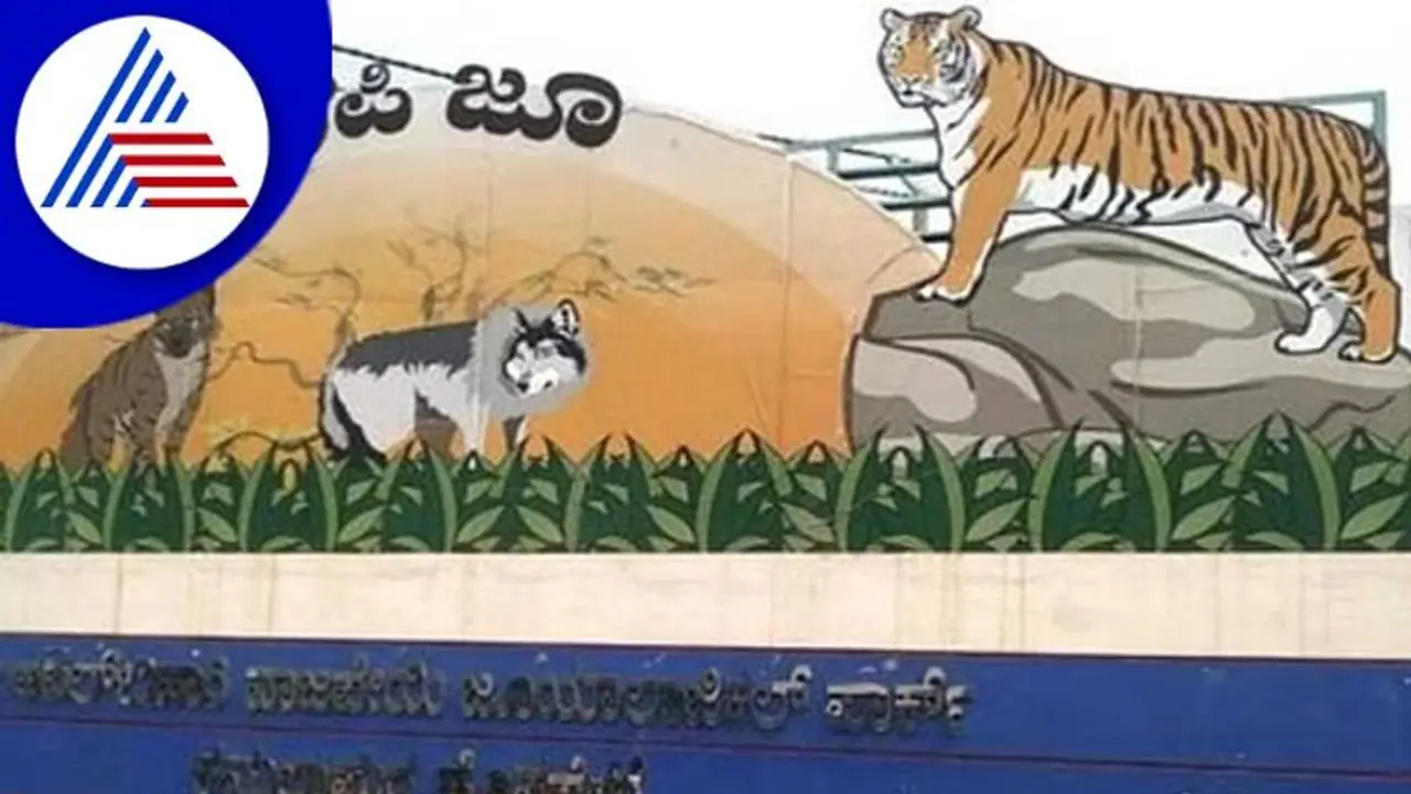 ಕರ್ನಾಟಕ ರಾಜ್ಯೋತ್ಸವ ನಿಮಿತ್ತ ನಾಳೆ Hampi Zoo ತೆರೆಯಲು ನಿರ್ಧಾರ ಕರ್ನಾಟಕ ರಾಜ್ಯೋತ್ಸವ ನಿಮಿತ್ತ ನಾಳೆ Hampi Zoo ತೆರೆಯಲು ನಿರ್ಧಾರ