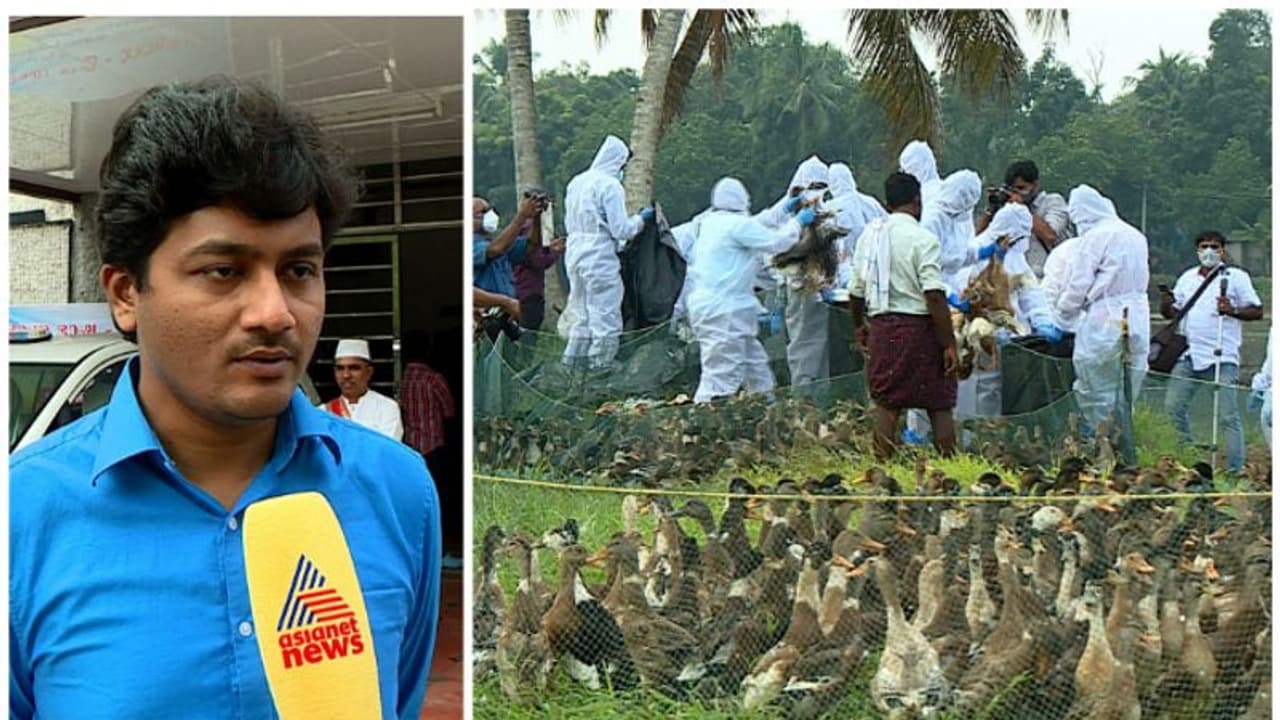 ആലപ്പുഴയിൽ പക്ഷിപ്പനി രൂക്ഷം, സാമ്പിൾ പരിശോധനക്ക് അയക്കാൻ പ്രതിസന്ധി; പ്രതിരോധ നടപടിയെ ഗുരുതരമായി ബാധിക്കും ആലപ്പുഴയിൽ പക്ഷിപ്പനി രൂക്ഷം, സാമ്പിൾ പരിശോധനക്ക് അയക്കാൻ പ്രതിസന്ധി; പ്രതിരോധ നടപടിയെ ഗുരുതരമായി ബാധിക്കും