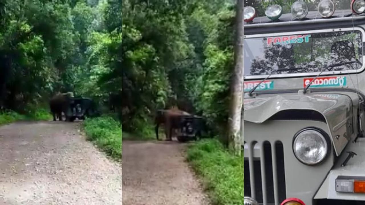 അതിരപ്പിള്ളിയില്‍ ഫോറസ്റ്റ് ജീപ്പിന് നേരെ 'കപാലി'യുടെ ആക്രമണം, രക്ഷപ്പെട്ടത് തലനാരിഴയ്ക്ക് വീഡിയോ