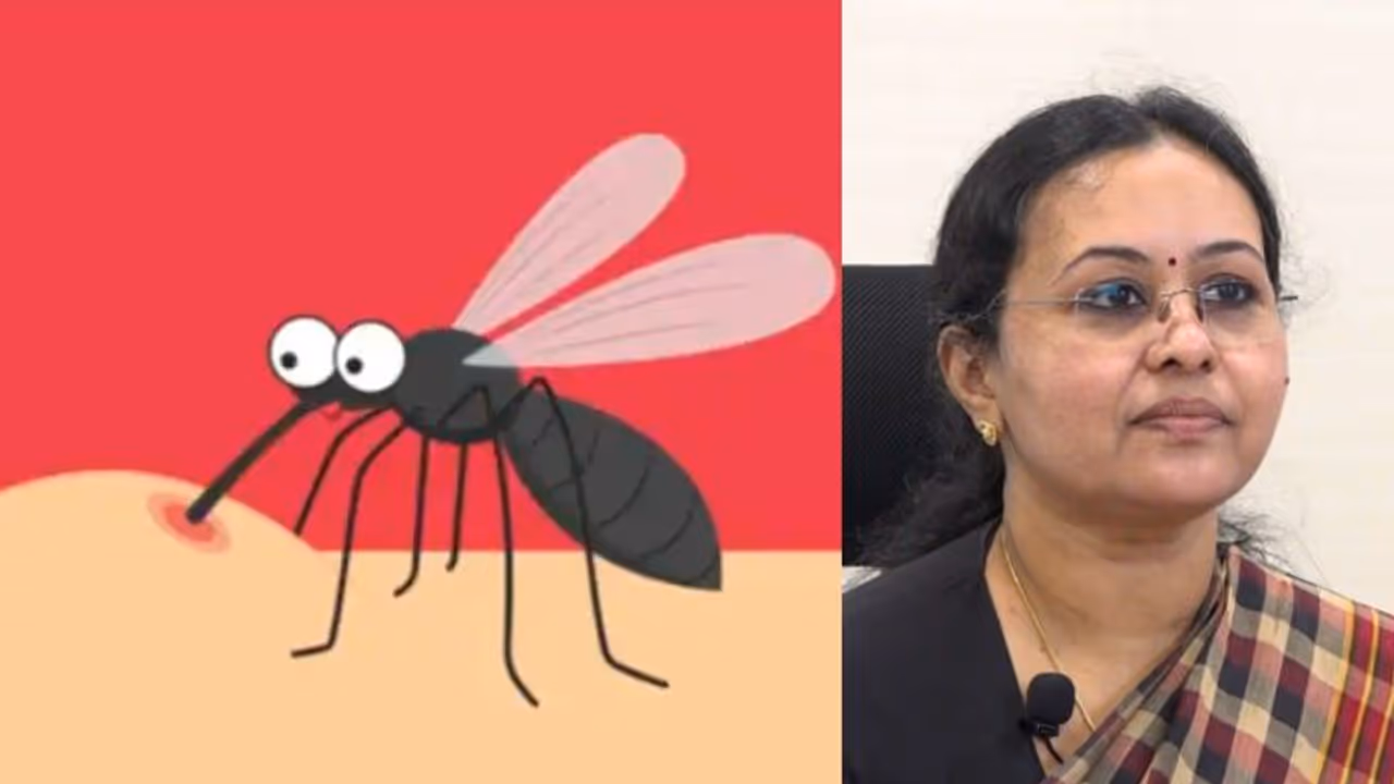 Dengue Fever; പനി സങ്കീർണമാകാൻ കാത്തുനിൽക്കരുത്, പ്രതിരോധം ശക്തമാക്കേണ്ട സാഹചര്യം; ആരോ​ഗ്യമന്ത്രി 