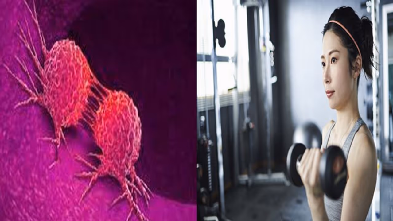 कैंसर का होगा खात्मा, अगर वीक में 3 बार बस 30 मिनट करें ये एक्सरसाइज,शोध में खुलासा