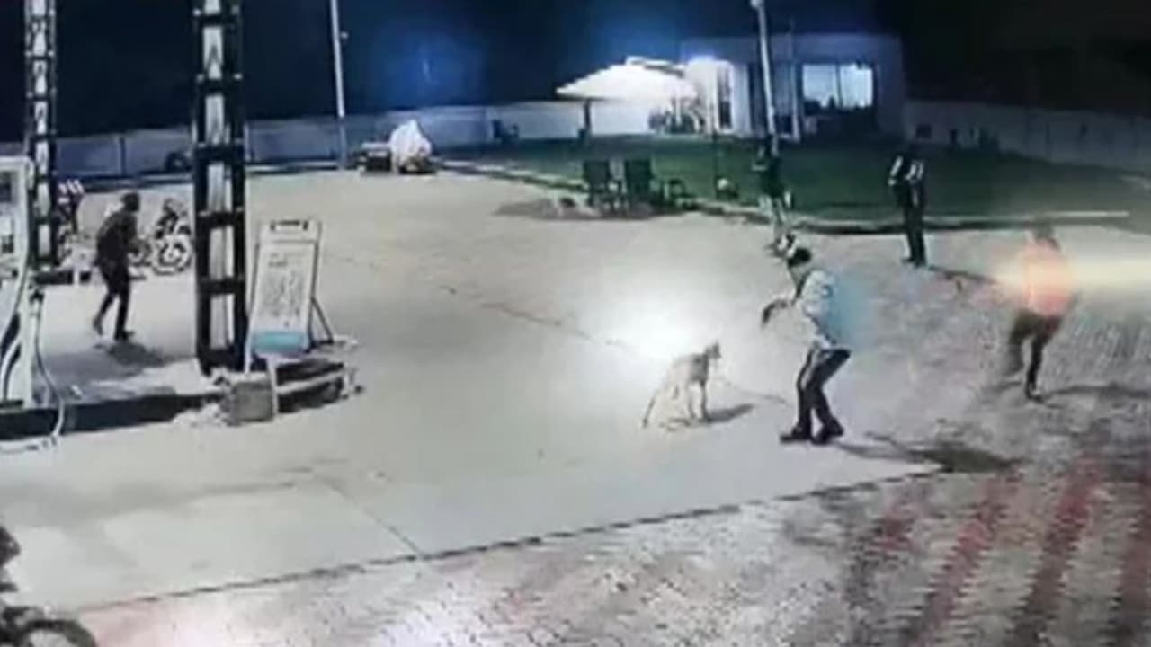 മോഷണത്തിന് എത്തിയാളെ വെടിവച്ചുകൊന്ന് സെക്യൂരിറ്റി ഗാര്ഡ് വീഡിയോ മോഷണത്തിന് എത്തിയാളെ വെടിവച്ചുകൊന്ന് സെക്യൂരിറ്റി ഗാര്ഡ് വീഡിയോ