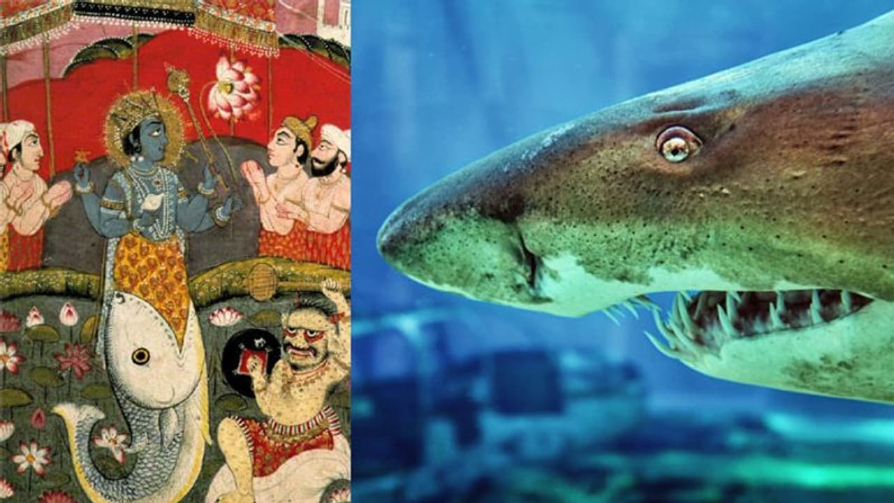 क्या मत्स्य अवतार के करीब जा रही चीनी वैज्ञानिकों की खोज? पुराणों में हजारों सालों पहले से है उल्लेख क्या मत्स्य अवतार के करीब जा रही चीनी वैज्ञानिकों की खोज? पुराणों में हजारों सालों पहले से है उल्लेख