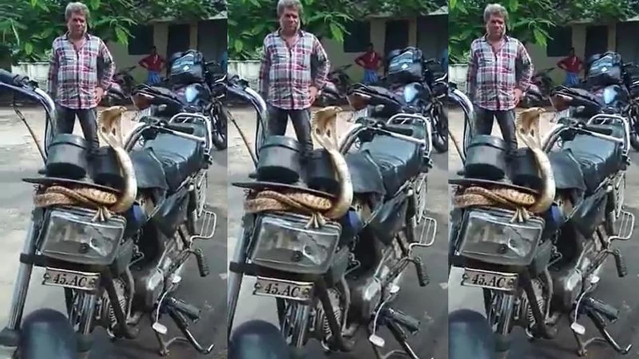 ಬೈಕೇರಿ ಹೆಡೆಯೇರಿಸಿ ನಿಂತ ನಾಗಪ್ಪ... ವಿಡಿಯೋ ವೈರಲ್