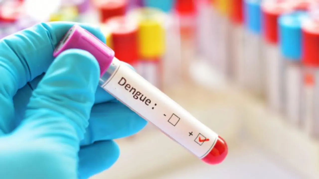 ഡെങ്കിപ്പനി ബാധിതര്‍ നിർബന്ധമായും കഴിക്കേണ്ട ചില ഭക്ഷണങ്ങൾ ഏതൊക്കെ? 