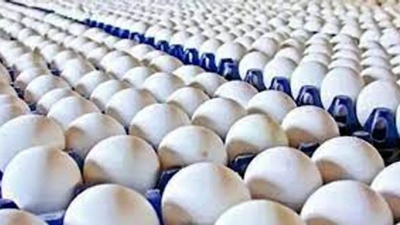 മുട്ട കിട്ടാനില്ല, ഇന്ത്യയോട് ചോദിച്ച് ബംഗ്ലാദേശ്, കയറ്റി അയച്ചത് രണ്ടര ലക്ഷം മുട്ടകൾ മുട്ട കിട്ടാനില്ല, ഇന്ത്യയോട് ചോദിച്ച് ബംഗ്ലാദേശ്, കയറ്റി അയച്ചത് രണ്ടര ലക്ഷം മുട്ടകൾ